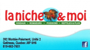 La niche et moi3