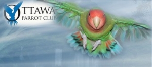 ottawa parrot club
