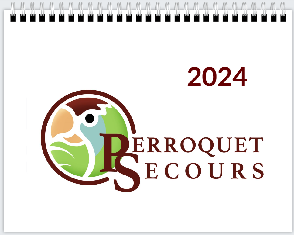Calendrier mural format régulier 2024 (french only) – Perroquetsecours