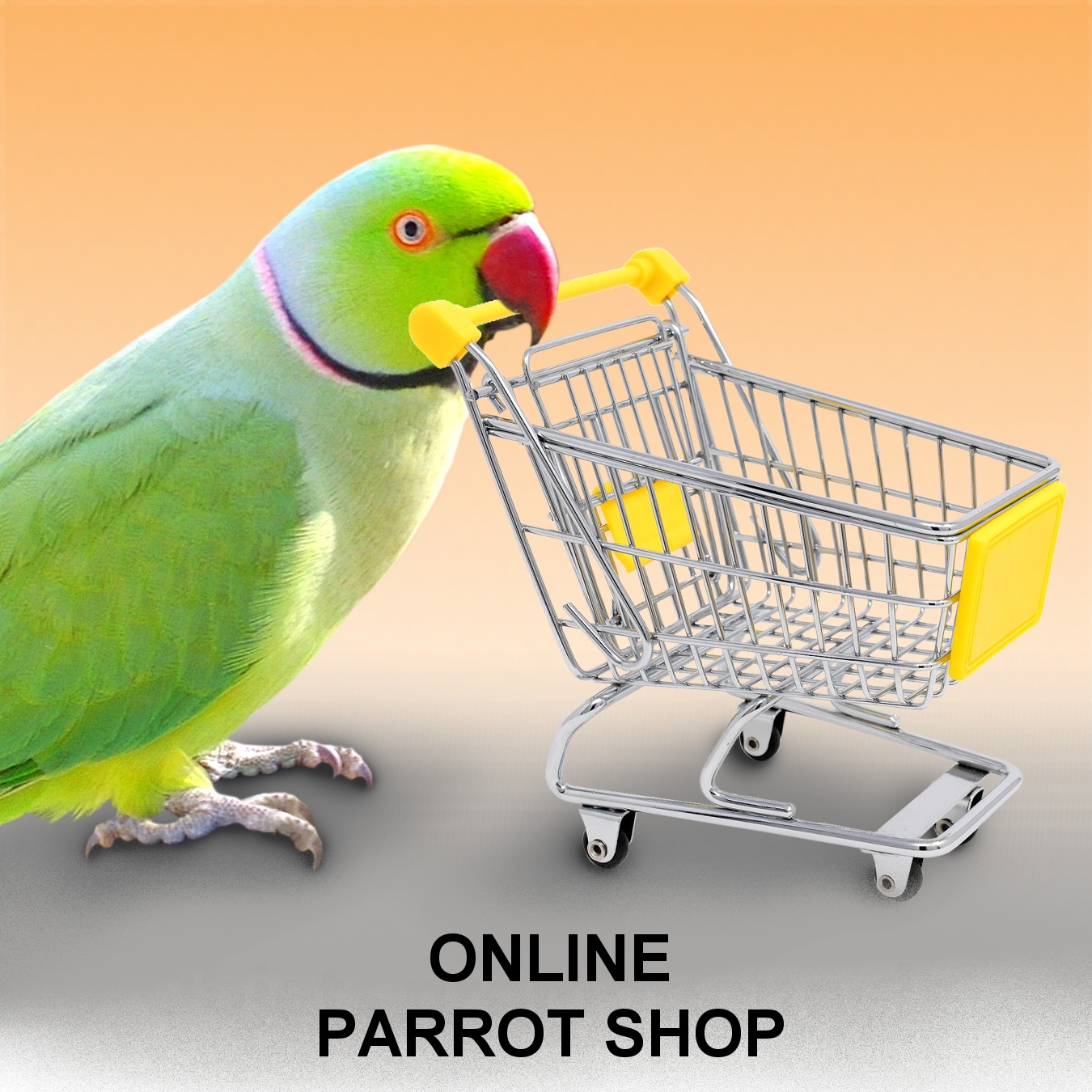 Parrot shopping online discount