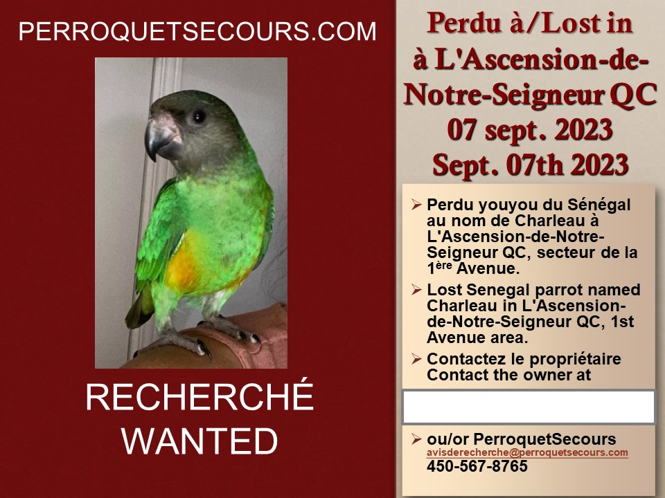 QC affiche (07 sept. 2023) perdu youyou à L’AscensiondeNotreSeigneur