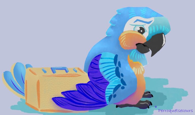 284230077_1352061395305435_5800178629830641563_n