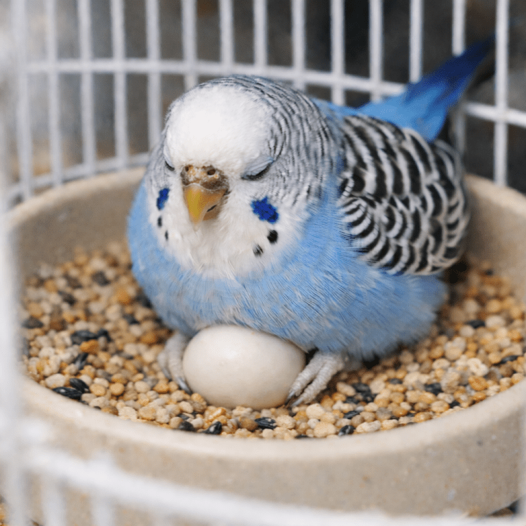 65F26066-ACFF-47E6-9732-781405E46172