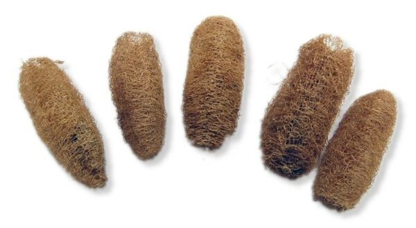 Loofah (Zoomax 101206)