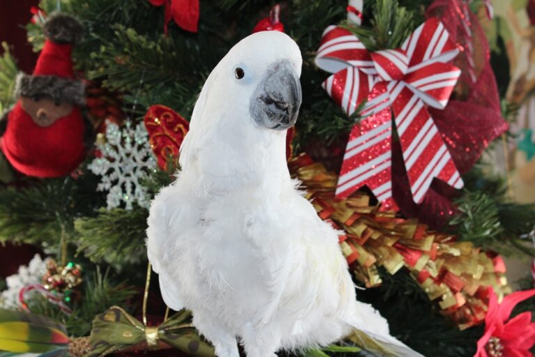 12-Janvier-2015-068-2