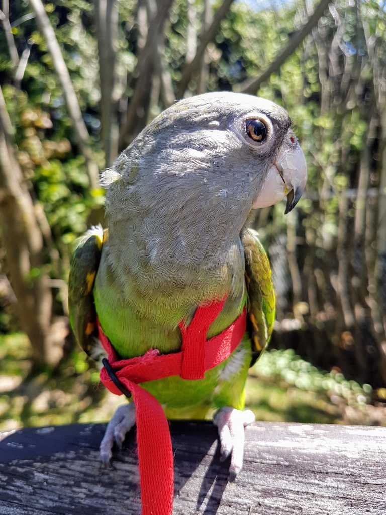 20170516_130254-768x1024 (1)