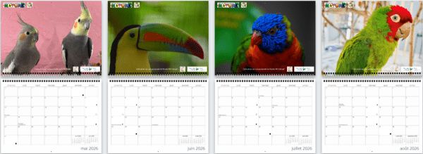Calendrier mural grand format 2026 (french only) – Image 3