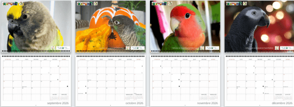 Calendrier mural grand format 2026 (french only) – Image 4