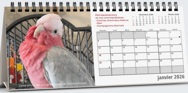 Calendrier format de table 2026 (french only) – Image 2