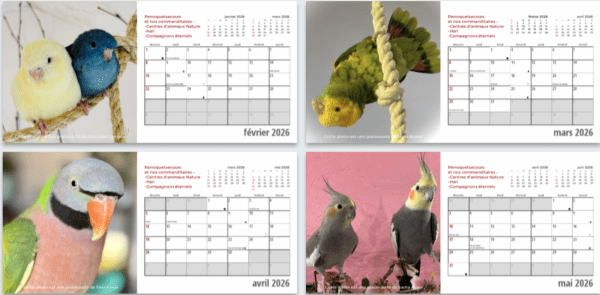 Calendrier format de table 2026 (french only) – Image 3
