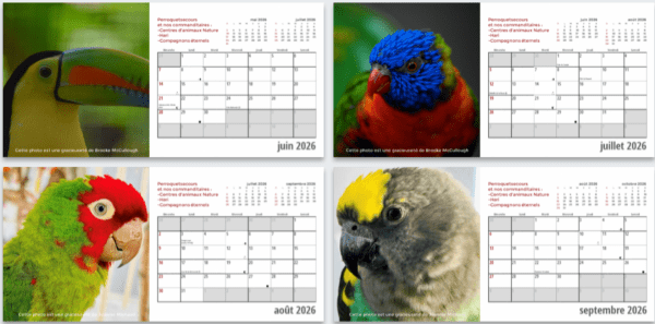 Calendrier format de table 2026 (french only) – Image 4