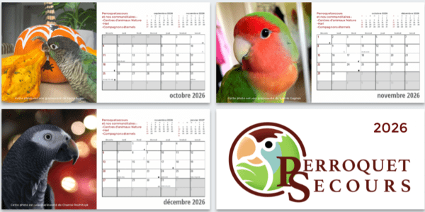 Calendrier format de table 2026 (french only) – Image 5