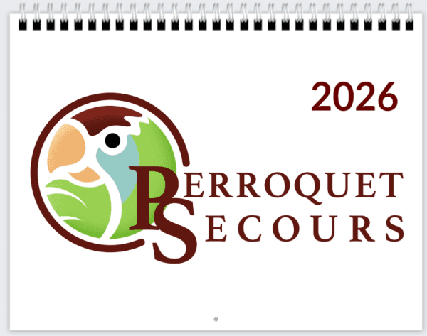 Calendrier mural grand format 2026 (french only)