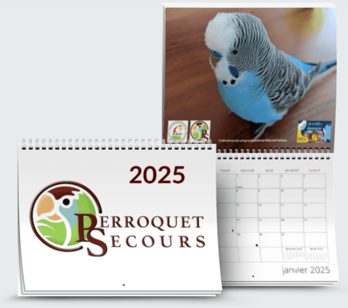 Calendrier mural format régulier 2025 (french only)