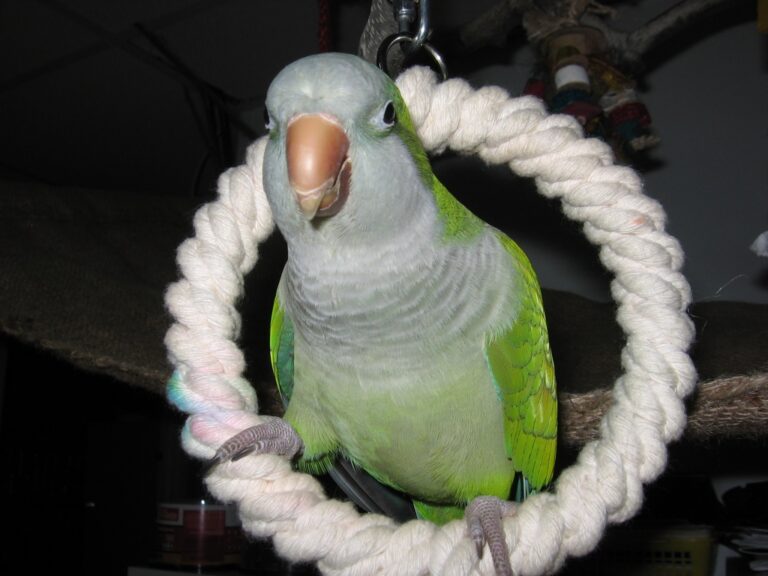 concours-05-1024x768