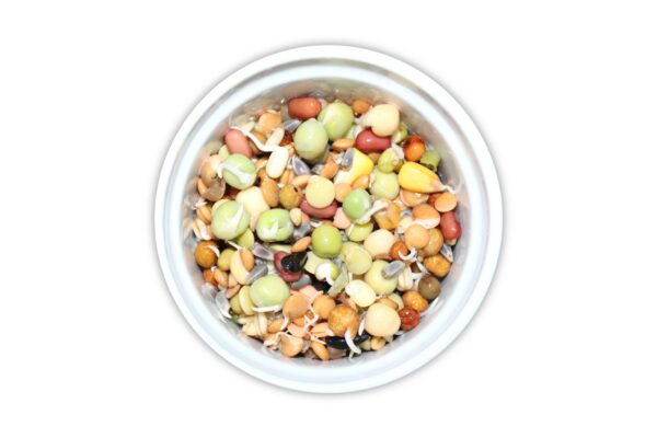 Germinations pour moyen et gros perroquets (454 gr-1 lb) - Image 2