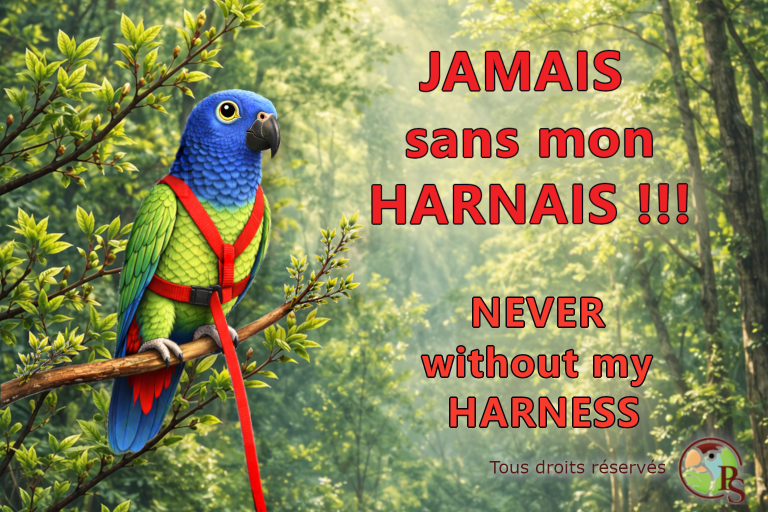 jamais sans mon Harnais