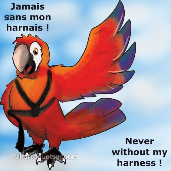 logo_harnais_gr3 (2)