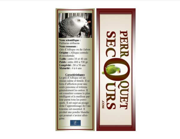 05-signet gris du Gabon (french only)