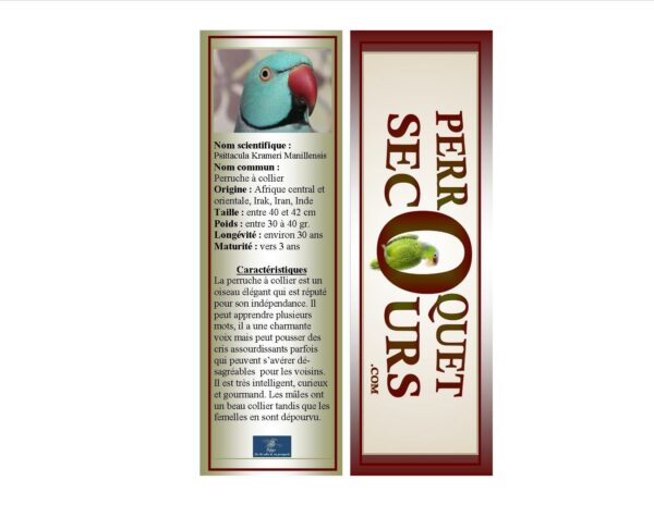 20-signet perruche à collier (french only)