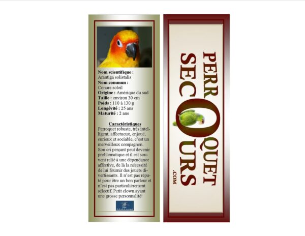 21-signet conure soleil (french only)