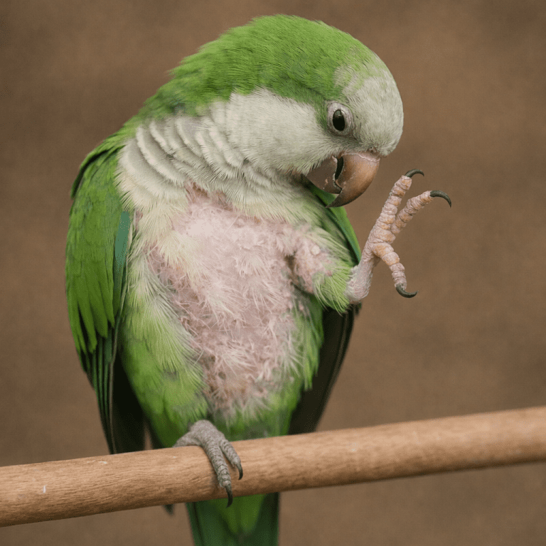 11CBDAD8-3300-4D92-91B6-4E3066EDBB6E