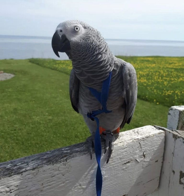 493450834_1104116558421110_1528577189662584250_n