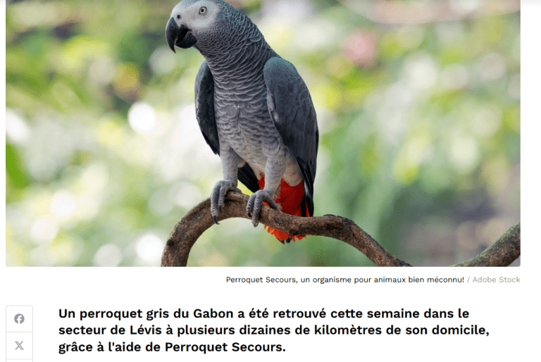 Capture d’écran 2025-08-02 105717