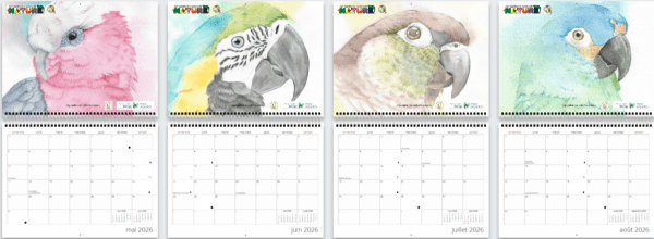 Calendrier mural grand format ÉDITION SPÉCIALE 2026 (french only) – Image 3