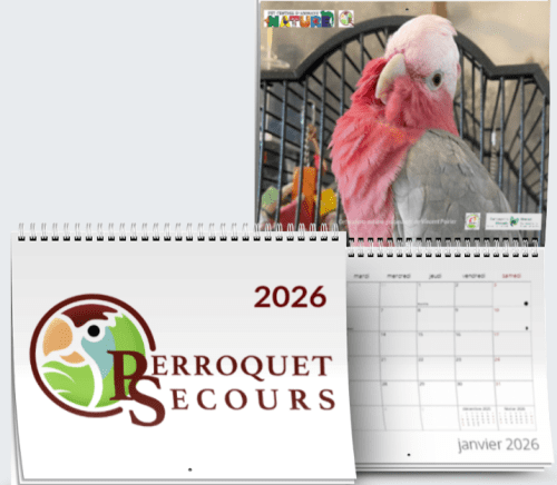 Calendrier mural format régulier 2026 (french only)