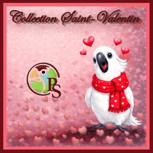Collection St-Valentin