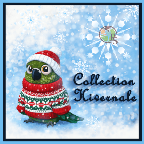 Collection Hivernale