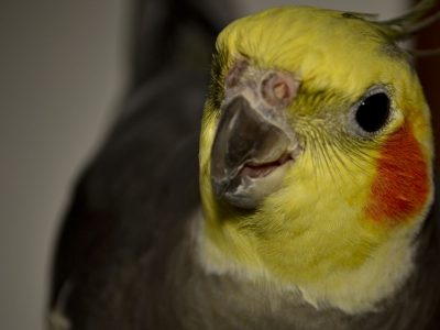 004-A-murielle-19-ok-1024x703