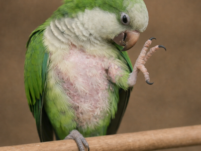 11CBDAD8-3300-4D92-91B6-4E3066EDBB6E