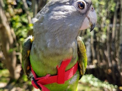 20170516_130254-768x1024 (1)