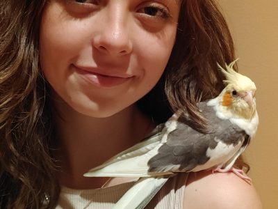 HDR debug info : SBAR:0.3 WHAR:0.0 BAR:2.0 WBR:19.8 WDR:0.0 CB:0 CR:0.0 U:0 UW:0 US:0 LIF:0.0 OCD:0 EXT:0.0 UGN:0.0 AIScene(21)   WDR(0,0)SV(3)SGL(0)HGL(0)SGLPU(0)SGLAY(0)AY(112)