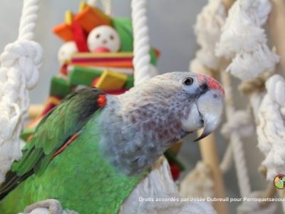 2026-03-07 - Josée Dubreuil