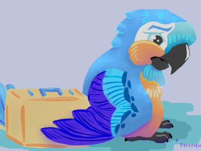 284230077_1352061395305435_5800178629830641563_n