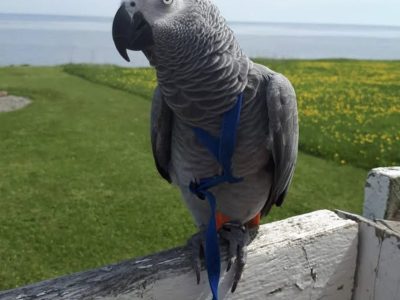 493450834_1104116558421110_1528577189662584250_n