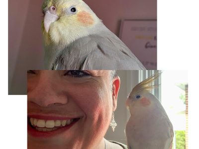 501149117_1132184258947673_1774235120898450898_n