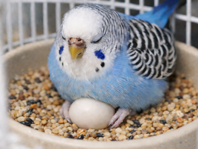 65F26066-ACFF-47E6-9732-781405E46172