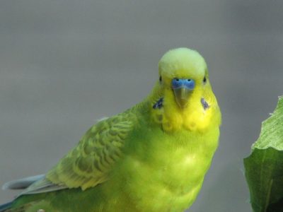 Bingo08-2-1024x688 (1)