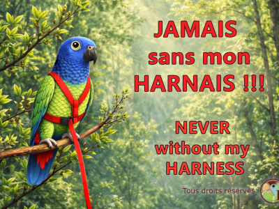 jamais sans mon Harnais