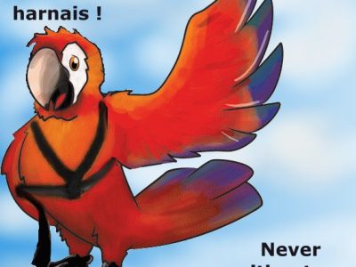 logo_harnais_gr3 (2)